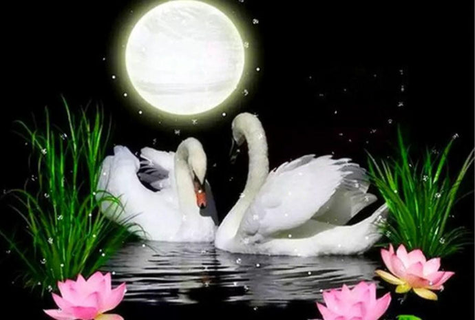 Full Moon & Swans Pair Diamond Painting - diamond-painting-bliss.myshopify.com