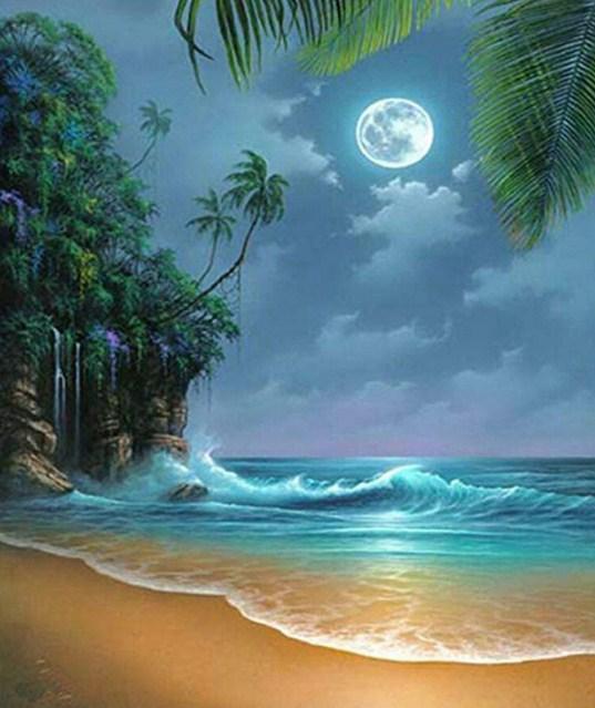 Full Moon on the Beach - diamond-painting-bliss.myshopify.com