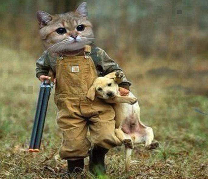 Funny Cat & Dog Painting Kit - diamond-painting-bliss.myshopify.com