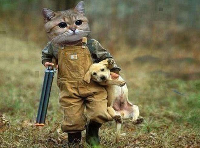 Funny Gangster Cat & Puppy - diamond-painting-bliss.myshopify.com