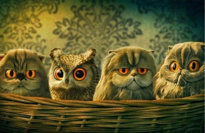 Funny Owl Basket Diamond Painting - diamond-painting-bliss.myshopify.com