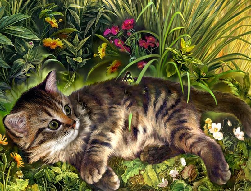 Garden Cat - Paint by Diamonds - diamond-painting-bliss.myshopify.com