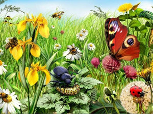 Garden with Insects - Paint with Diamonds - diamond-painting-bliss.myshopify.com