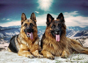 German Shepherd Dogs Pair - diamond-painting-bliss.myshopify.com