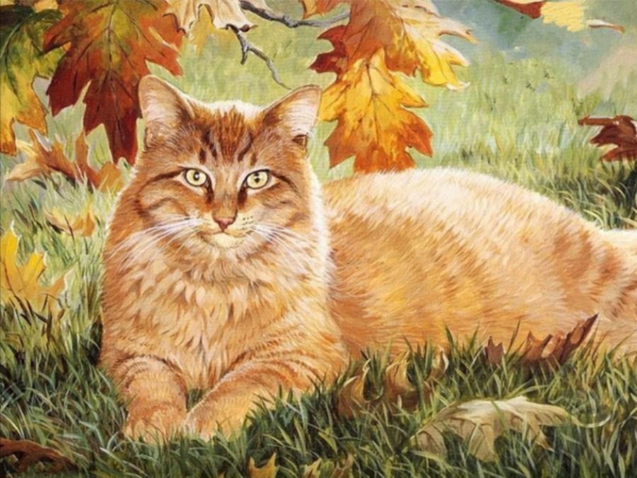 Ginger Cat - Paint by Diamonds - diamond-painting-bliss.myshopify.com