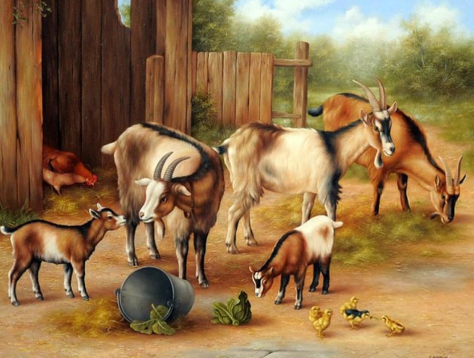 Goats & Chickens Painting Kit - diamond-painting-bliss.myshopify.com