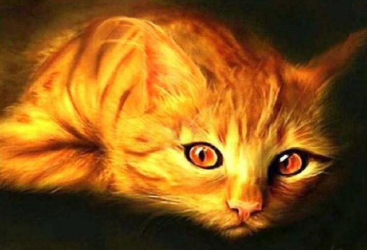 Golden Cat with Orange Eyes - diamond-painting-bliss.myshopify.com