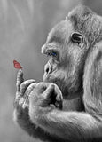 Gorilla & Butterfly Painting Kit - diamond-painting-bliss.myshopify.com