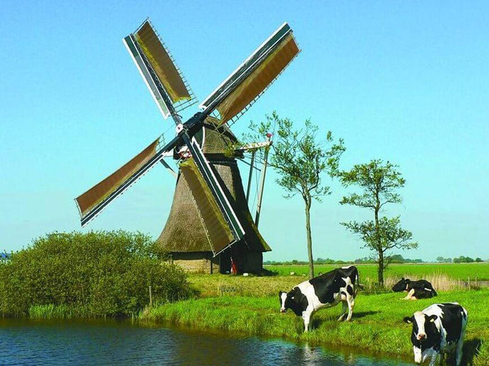 Grazing Cows & Windmill Painting - diamond-painting-bliss.myshopify.com
