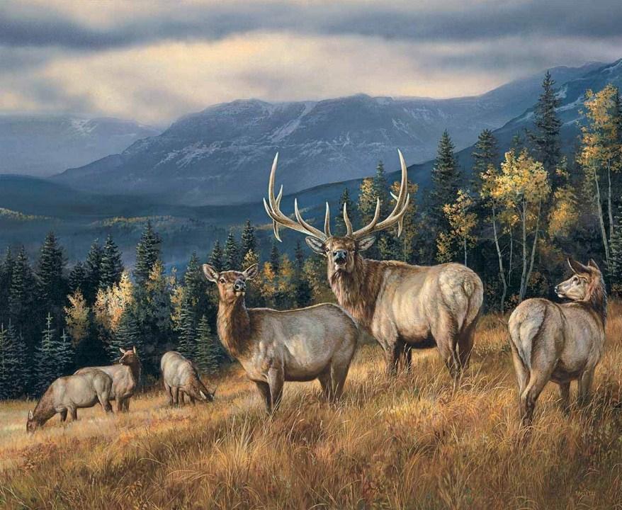Grazing Elks - Paint with Diamonds - diamond-painting-bliss.myshopify.com