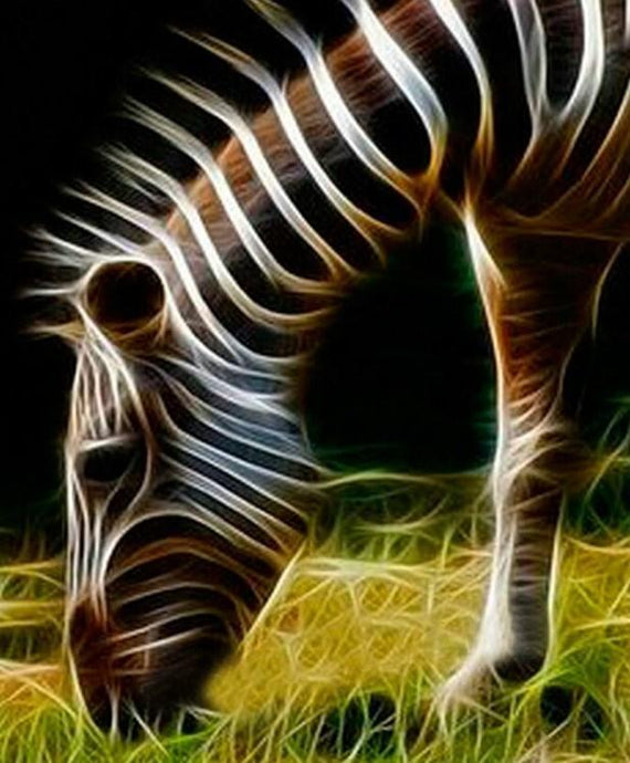 Grazing Zebra - Diamond Art Kit - diamond-painting-bliss.myshopify.com