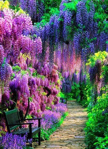 Green & Purple Forest - diamond-painting-bliss.myshopify.com
