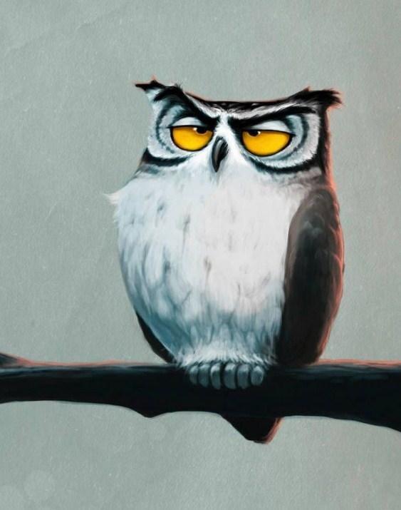 Grumpy Owl - Paint with Diamonds - diamond-painting-bliss.myshopify.com