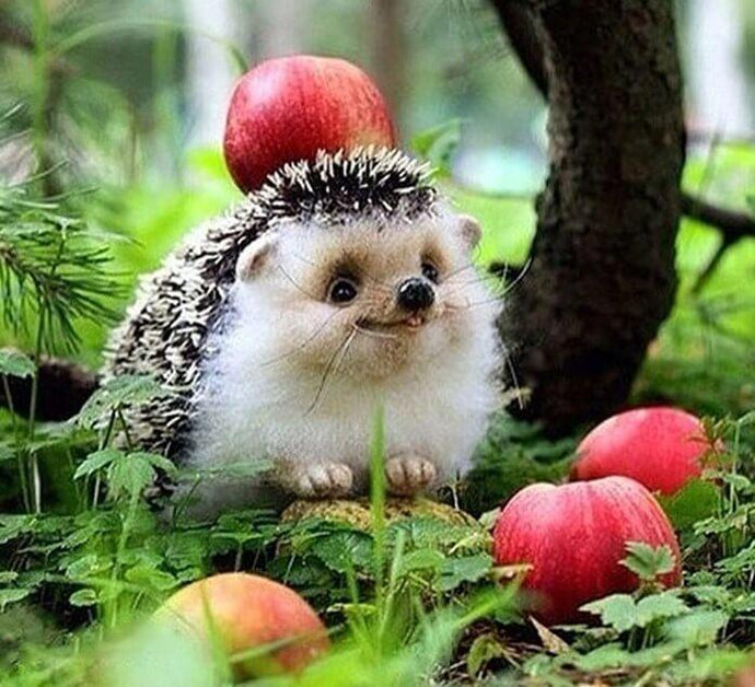 Happy Hedgehog Painting Kit - diamond-painting-bliss.myshopify.com