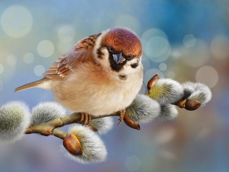 Happy Sparrow - Paint by Diamonds - diamond-painting-bliss.myshopify.com