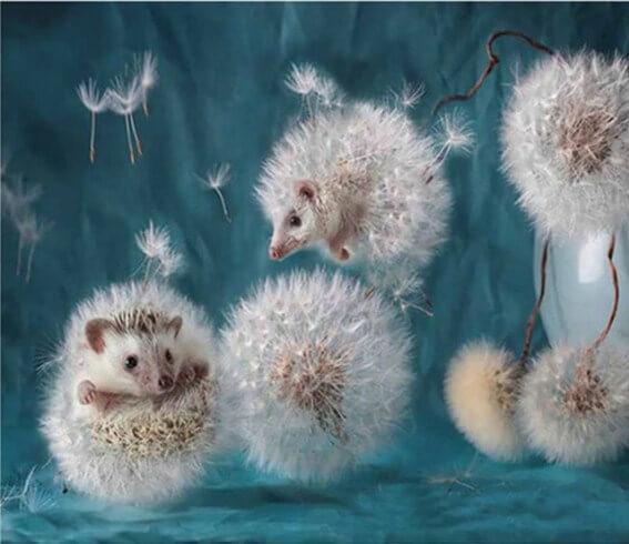 Hedgehog Dandelion Diamond Painting - diamond-painting-bliss.myshopify.com