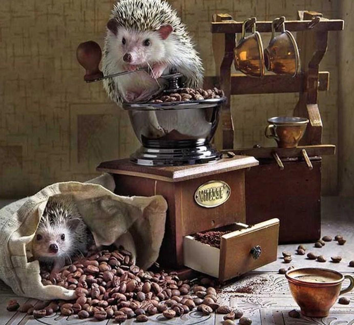 Hedgehog DIY Painting Kit - diamond-painting-bliss.myshopify.com