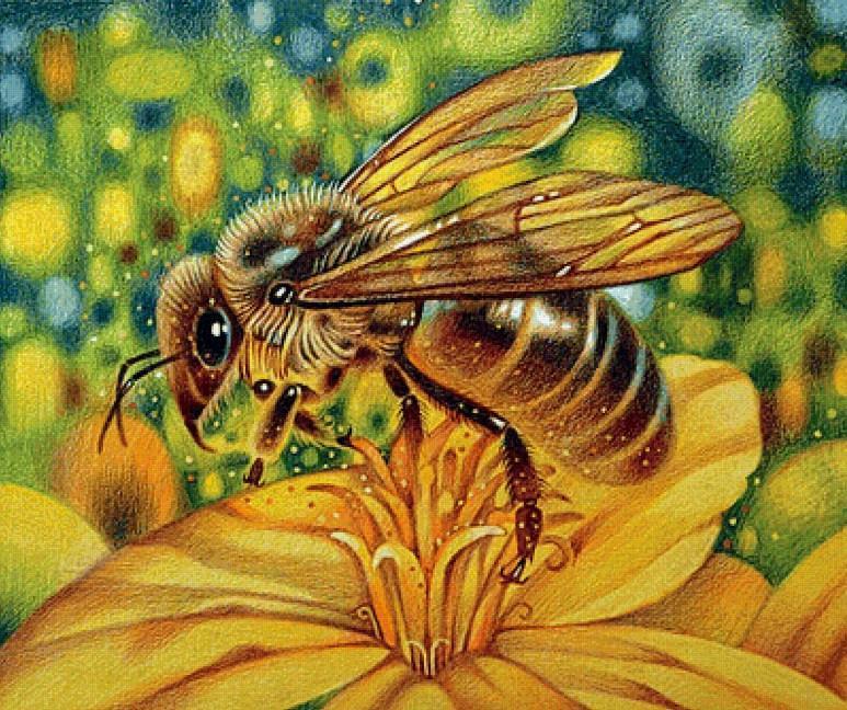 Honey Bee Close up - Diamond Painting Kit - diamond-painting-bliss.myshopify.com