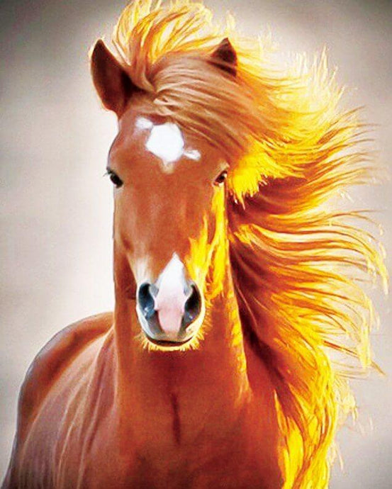 Horse 5D Diamond Painting Kit - diamond-painting-bliss.myshopify.com