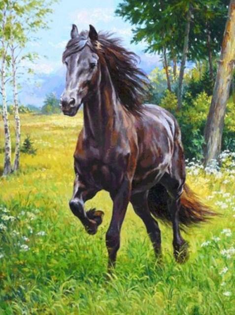 Horse Running in the Meadows - diamond-painting-bliss.myshopify.com