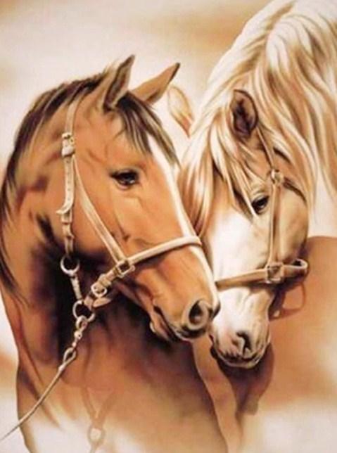 Horse couple - diamond-painting-bliss.myshopify.com