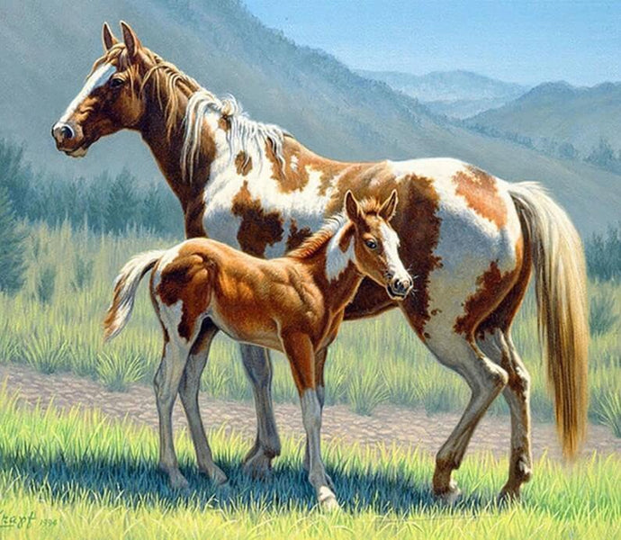 Horse with Foal Diamond Painting Kit - diamond-painting-bliss.myshopify.com