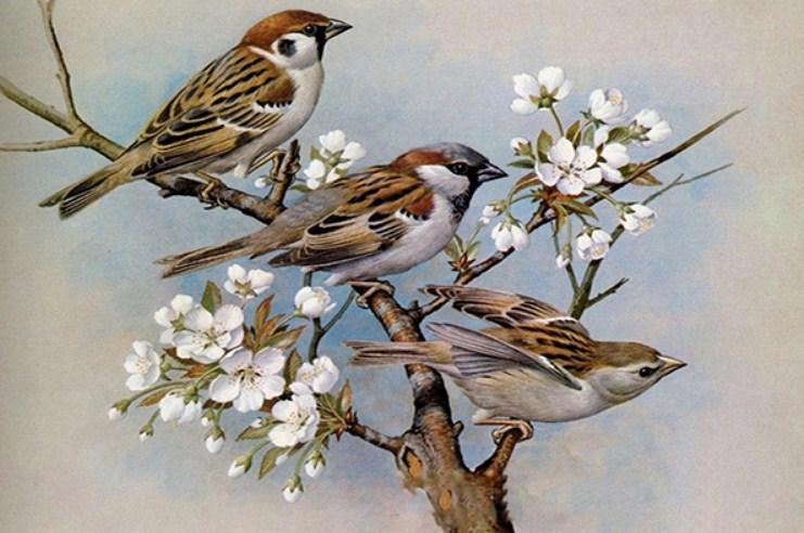 Squirrel, Sparrow & Sunflowers Painting – Diamond Painting Bliss