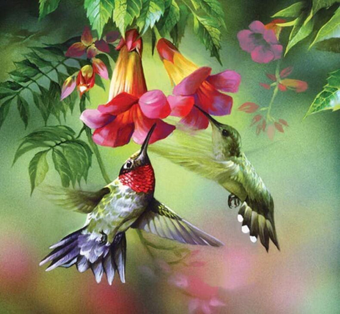 Humming Birds Drinking Flower Nectar - diamond-painting-bliss.myshopify.com