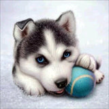 Husky Puppy - Paint by Diamonds - diamond-painting-bliss.myshopify.com