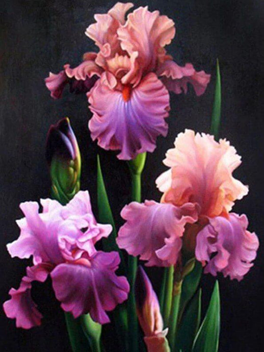 Iris Diamond Painting Kit - diamond-painting-bliss.myshopify.com