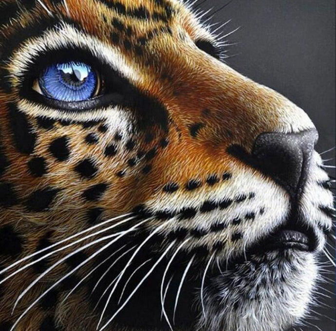 Jaguar Cub with Blue Eyes - diamond-painting-bliss.myshopify.com
