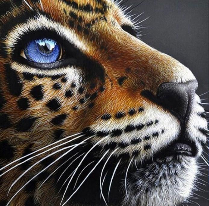 Jaguar Cub with Blue Eyes - diamond-painting-bliss.myshopify.com