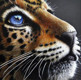 Jaguar Cub with Blue Eyes - diamond-painting-bliss.myshopify.com