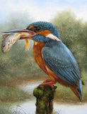 Kingfisher Eating Fish - Paint by Diamonds - diamond-painting-bliss.myshopify.com