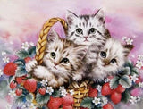 Kittens Basket - diamond-painting-bliss.myshopify.com