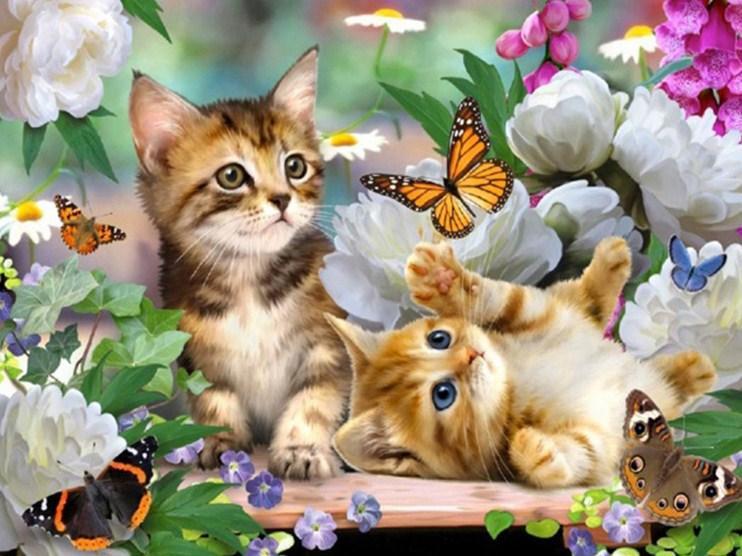 Kittens, Flowers & Butterflies - diamond-painting-bliss.myshopify.com