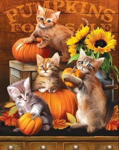 Kittens & Pumpkins - Paint by Diamonds - diamond-painting-bliss.myshopify.com