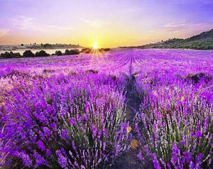 Lavender Fields & Sunset - diamond-painting-bliss.myshopify.com