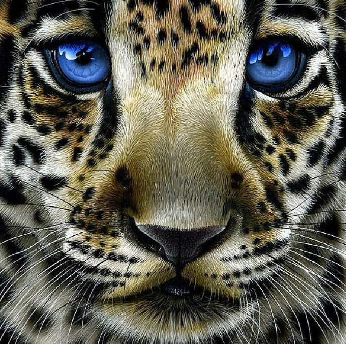 Leopard Cub with Blue Eyes - diamond-painting-bliss.myshopify.com