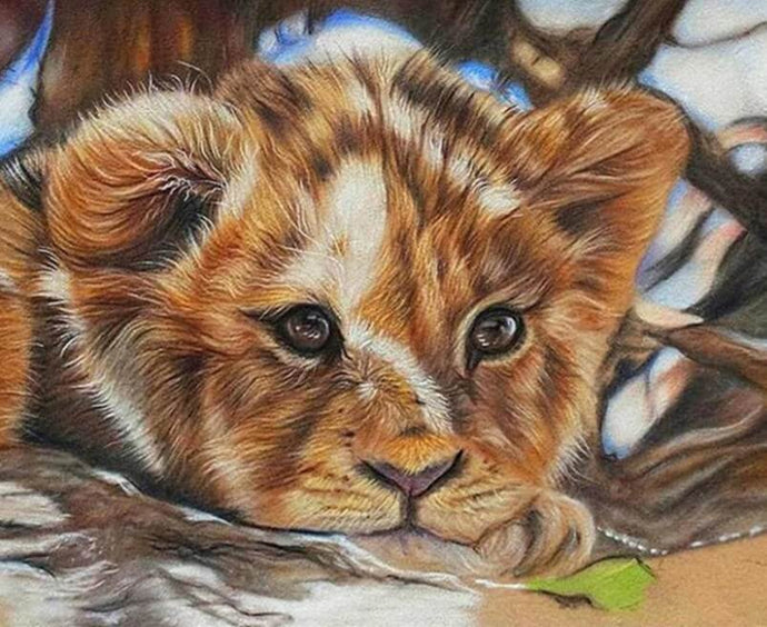 Lion Baby Diamond Painting - diamond-painting-bliss.myshopify.com