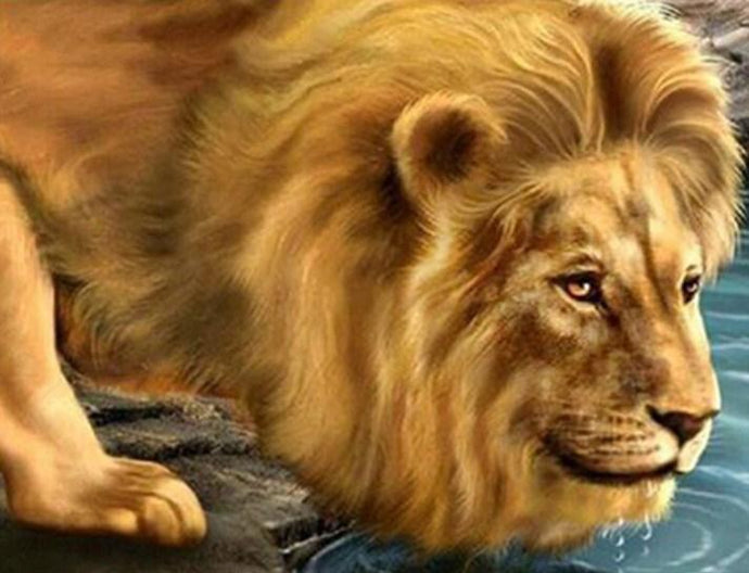 Lion Drinking Water Diamond Painting - diamond-painting-bliss.myshopify.com