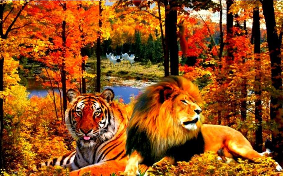 Lion & Tiger in the Forest - diamond-painting-bliss.myshopify.com