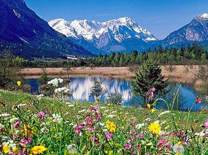Loisach River - Paint with Diamonds - diamond-painting-bliss.myshopify.com