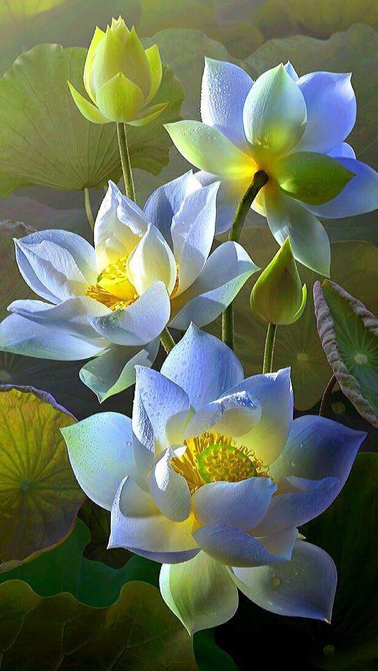 Lotus Flowers -Painting with Diamond - diamond-painting-bliss.myshopify.com
