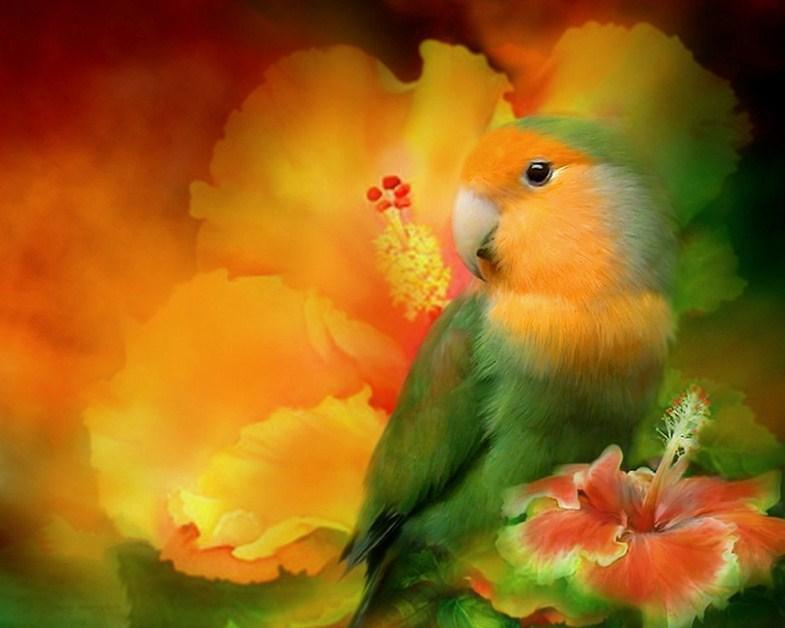 Love Bird - Paint by Diamonds - diamond-painting-bliss.myshopify.com