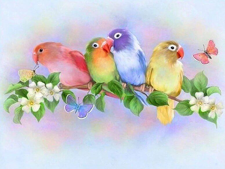 Love Birds painting Kit - diamond-painting-bliss.myshopify.com