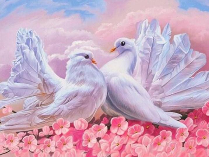 Love Pigeons - Paint by Diamonds - diamond-painting-bliss.myshopify.com