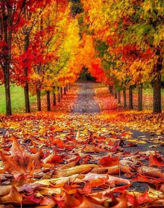 Lovely Autumn - Paint by Diamonds - diamond-painting-bliss.myshopify.com