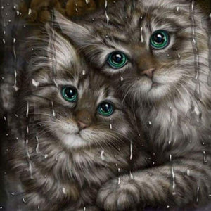 Lovely Cats with Green Eyes - diamond-painting-bliss.myshopify.com