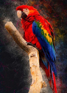Macaw Parrot Diamond Painting - diamond-painting-bliss.myshopify.com